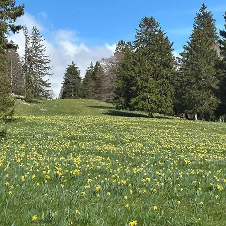 Nature Bungalow, Cleaning Included * Hallschlag